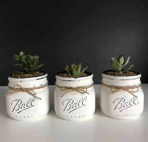 Ball® Mason Jar Succulents